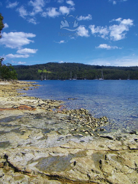 South - Foster Accommodation 0