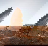 The Living Desert and Sculptures - Foster Accommodation