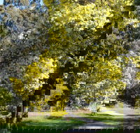 Wattle Park - Foster Accommodation
