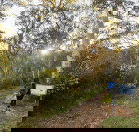 Yarrangobilly Caves  River walk - Foster Accommodation