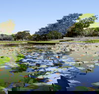 Anderson Park Botanic Gardens - Foster Accommodation