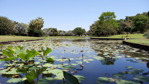 Anderson Park Botanic Gardens - Foster Accommodation 0