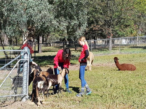 Animal Farm Visit - Foster Accommodation 1