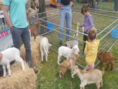 Animal Farm Visit - Foster Accommodation 2