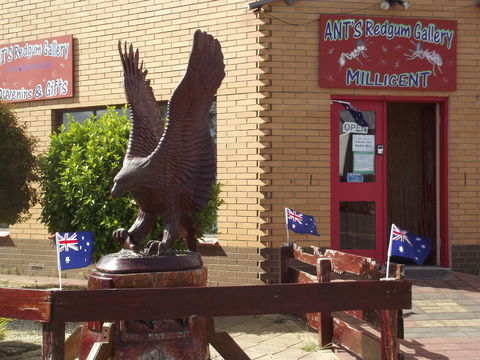 Ant's Redgum Gallery - Foster Accommodation 0