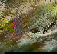 Australian Arid Lands Botanic Garden - Foster Accommodation