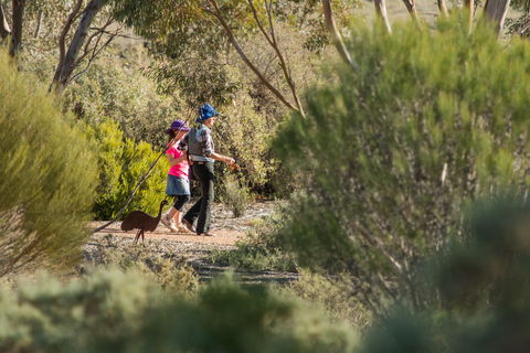Australian Arid Lands Botanic Garden - Foster Accommodation 0
