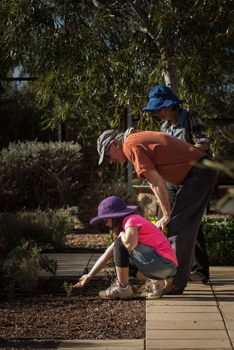 Australian Arid Lands Botanic Garden - Foster Accommodation 1
