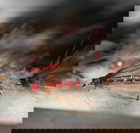 Australian Fly Fishing Museum - Foster Accommodation