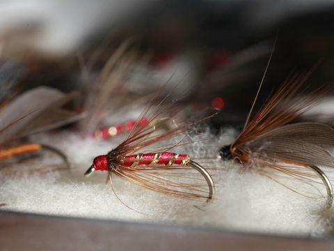 Australian Fly Fishing Museum - Foster Accommodation 0