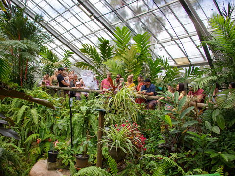 Australian Butterfly Sanctuary - Foster Accommodation 2