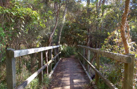 Awaba Bay Foreshore Walk - Foster Accommodation 0