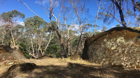 Bailey's Rocks - Dergholm State Park - Foster Accommodation 0