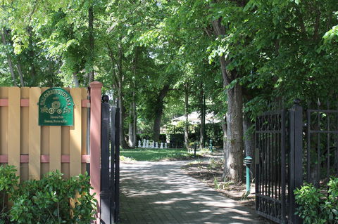 Bungendore Heritage Walk - Foster Accommodation 0