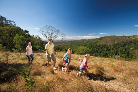Bunya Mountains National Park - Foster Accommodation 2