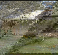 Castlemaine Diggings National Heritage Park - Foster Accommodation