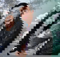 Cleland Wildlife Park - Koala Hold - Foster Accommodation