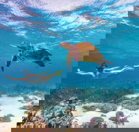 Coral Bay - Foster Accommodation