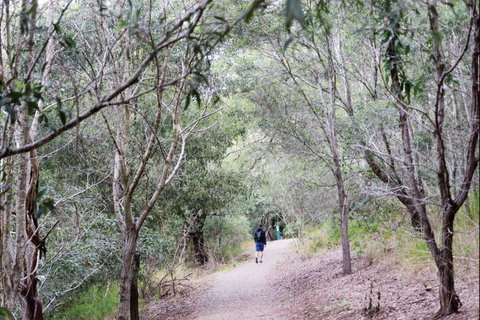 D'Aguilar National Park - Foster Accommodation 2