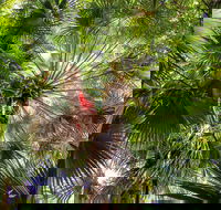 Depot Beach Rainforest Walk - Foster Accommodation