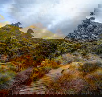 Dove Lake - Foster Accommodation