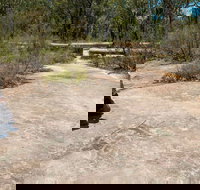 Finchley Cultural Walk - Foster Accommodation