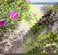 Fort Bribie - Foster Accommodation