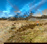 Goldseekers track - Foster Accommodation