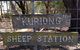 Kuriong Sheep Station - thumb 0