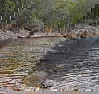 Lake Rowallan - Foster Accommodation