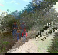 Meningie Lions Walking Trail - Foster Accommodation