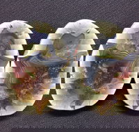 Mount Hay Gemstone Tourist Park - Foster Accommodation