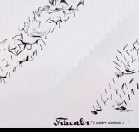 Nickname Hall of Fame - Foster Accommodation