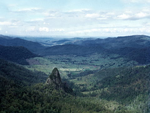 Numinbah - Foster Accommodation 0