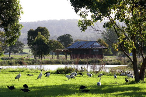 Panboola Wetlands - Foster Accommodation 1
