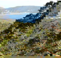 Patonga to Pearl Beach Walking Track - Foster Accommodation