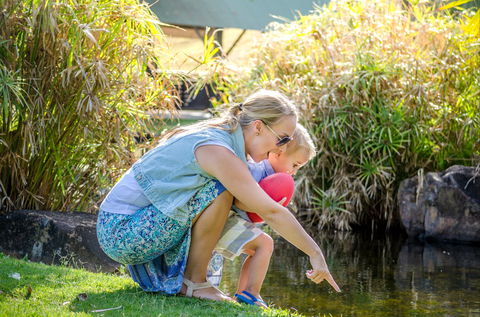 Queens Park Waterfall - Foster Accommodation 2