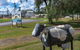 Queensland Dairy And Heritage Museum - thumb 2