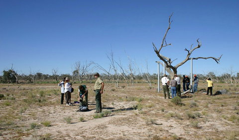 Sturt's Tree Walk - Foster Accommodation 0