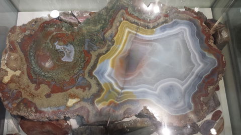 The Ted Elliott Mineral Collection - Foster Accommodation 1