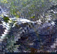 Ugly Corner Falls Walking Track - Foster Accommodation