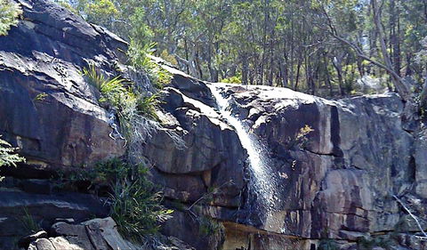 Ugly Corner Falls Walking Track - Foster Accommodation 0