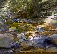 Washpool Walking Track - Foster Accommodation