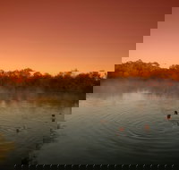 Witjira National Park - Foster Accommodation