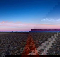 Yanga National Park - Foster Accommodation