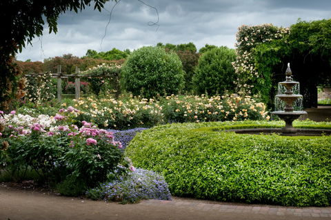 Alowyn Gardens And Nursery - Foster Accommodation 1