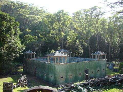 Alpha Paintball - Foster Accommodation 0