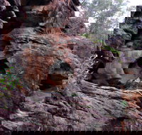 Bertha's Gully Walking Track - Foster Accommodation