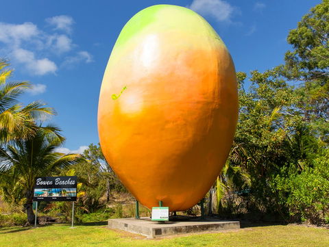Big Mango - Foster Accommodation 0