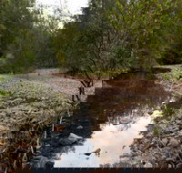 Budawang National Park - Foster Accommodation